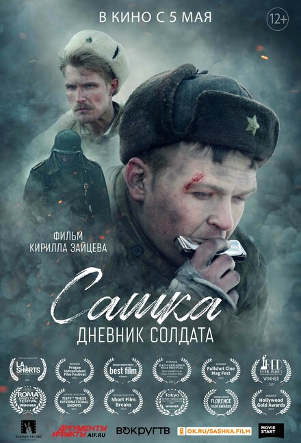 Сашка. Дневник солдата 